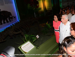 Re inaugura hoy el Sr. Gobernador del Estado Arturo Nuñez Jimenez el Museo de historia natural Jo