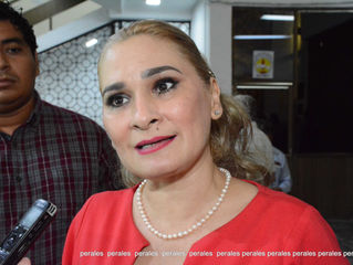 LEANDRO DE LA O
La diputada local de Morena, Ana Margarita Bolio Ibarra, pidió a la dirigencia est