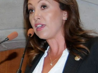 LEANDRO DE LA O
Cristina Ruiz Sandoval, secretaria general del C.E.N de la CNOP, aseguró que el ob