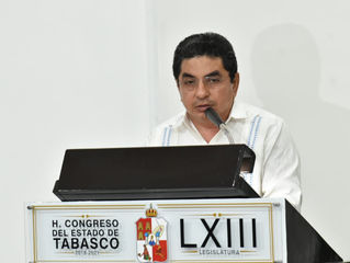 LEANDRO DE LA O
El diputado local del partido Movimiento Regeneración Nacional (Morena), Jesús de l
