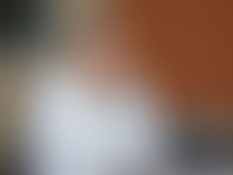 En Entrevista de radio el Lic Humberto de los Santos Bertruy
dejo en claro que no apoyara a Gerardo