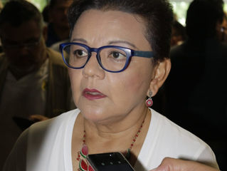 LEANDRO DE LA O
La diputada local del PRD, Dolores Gutiérrez Zurita, señaló que la reducción del nú