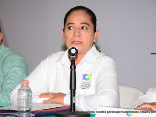 Presenta La Presidenta municipal del centro Casilda Ruiz Agustín programa de bacheo en la ciudad