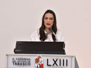 LEANDRO QUE LA OLa diputada local por el PRI, Ingrid Rosas Pantoja, presentó al pleno una iniciativa