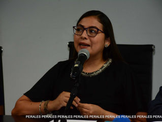 Villahermosa, Tabasco, 15 de agosto de 2018 PLAN DE ACCIÓN DE GOBIERNO ABIERTO El Instituto Tabasque