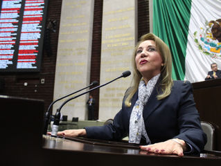 PRI, PVEM y PES culpables de incremento en precios de canasta básica, por aprobar gasolinazo: Aracel
