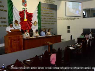 LEANDRO DE LA O
Para el diputado local del Partido de la Revolución Democrática (PRD), Charles Mé