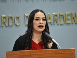 LEANDRO DE LA O La diputada local del PRI, Ingrid Rosas Pantojas, señaló que ya es momento que los