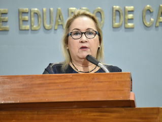 LEANDRO DE LA O La vice coordinadora parlamentaria del PRI, Minerva Santos García, manifestó que la