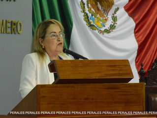 LEANDRO DE LA O
La vice coordinadora parlamentaria del PRI, Minerva Santos García, aseguró que no e