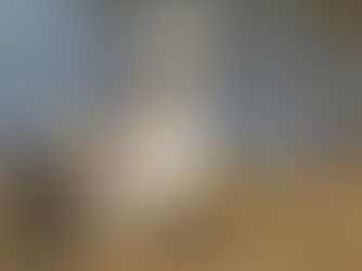 Nosso Incrível Patinho Feio