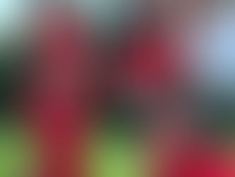 El adorable look " twinning" de la China Ansa e India que ilumino la Navidad