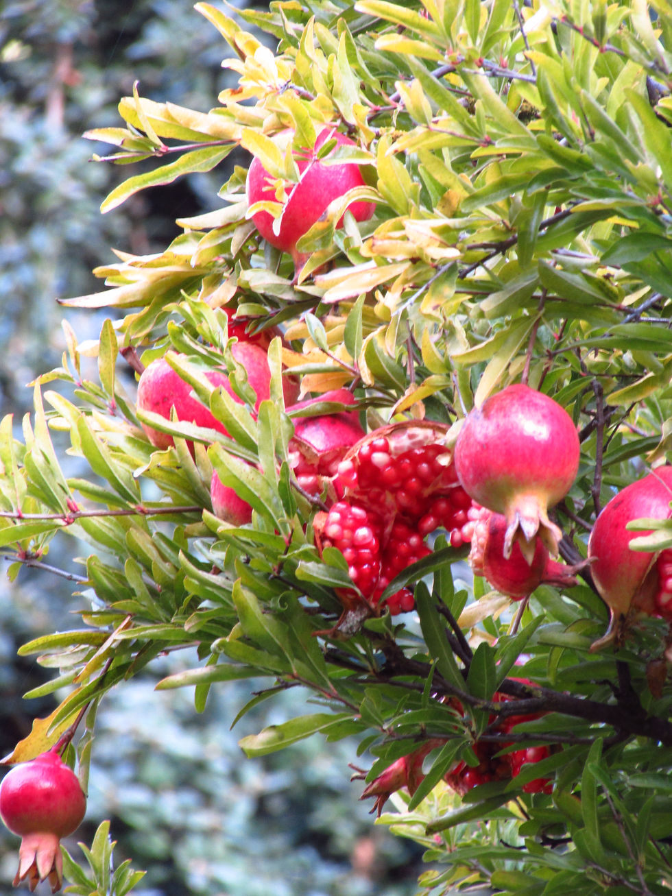 Faire un roadtrip en Andalousie