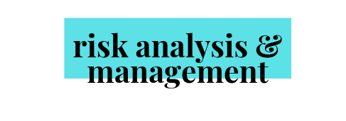 Risk Analysis & Management