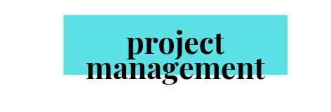 Project Management