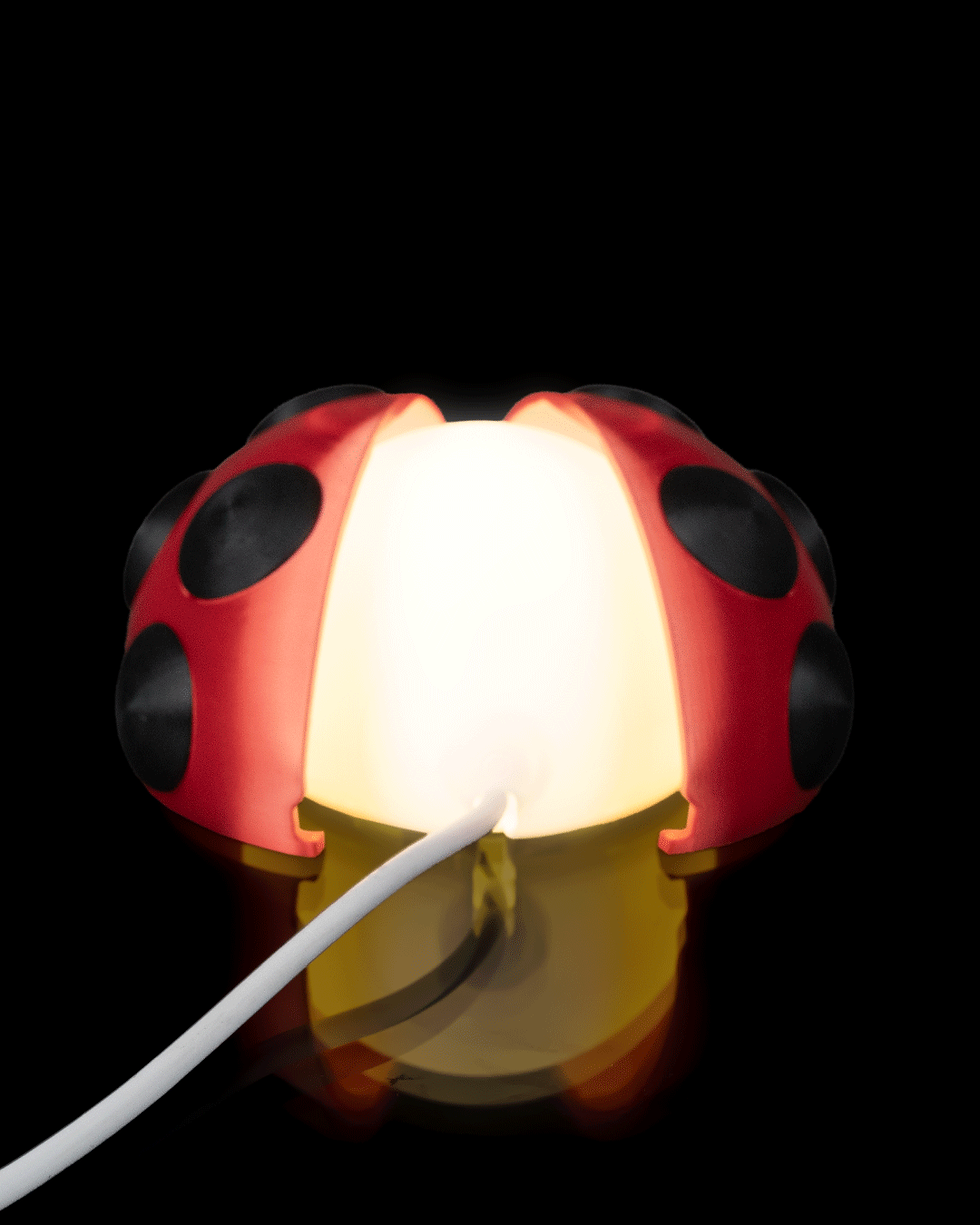 Thumbnail: Lulla Bug