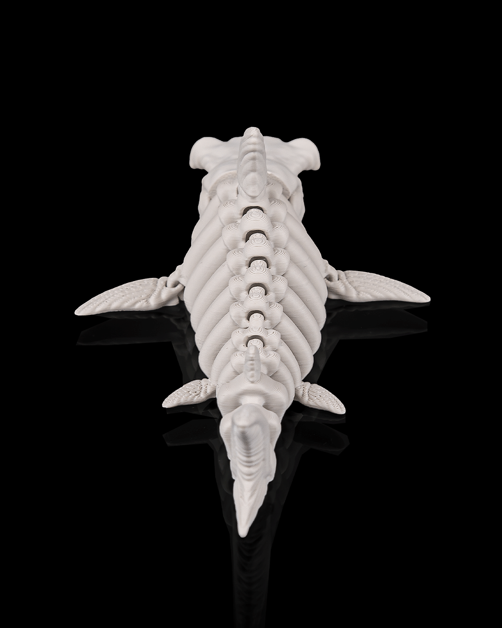 Thumbnail: Glow-in-the-Dark Articulated Shark Skeleton