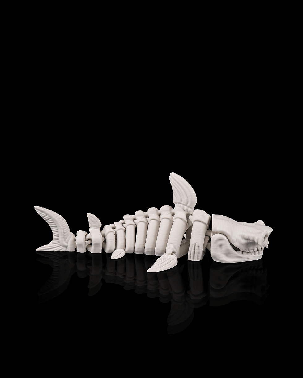 Thumbnail: Glow-in-the-Dark Articulated Shark Skeleton