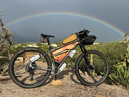bike and rainbow web IMG_1540.jpg