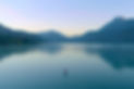 Website ADHS Bild.jpg