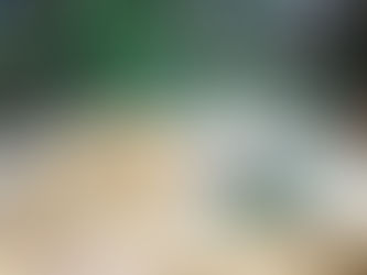 A importância da matéria seca na compostagem: o segredo para evitar mau cheiro