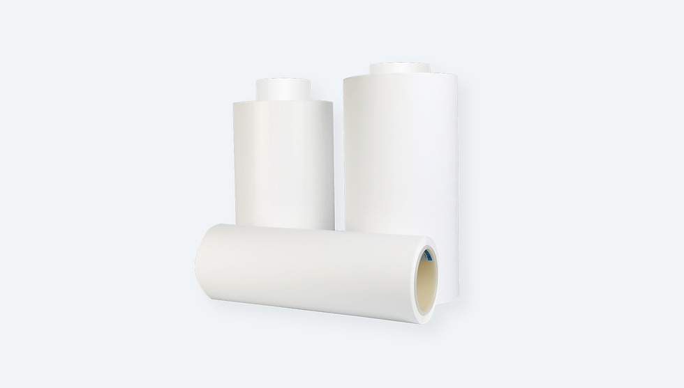 PVDF Membrane