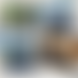 Epic Slingshot Rentals