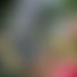 Summer Tubing Adventures