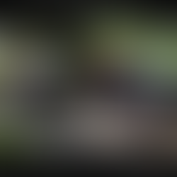 Blue Ridge Off Road Adventures