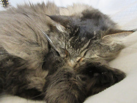 Ultimate UFD2 Decrypter Nitro Version 2.11