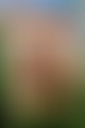 Jumanji: Welcome To The Jungle (English) Movie Hindi Dubbed Torrent