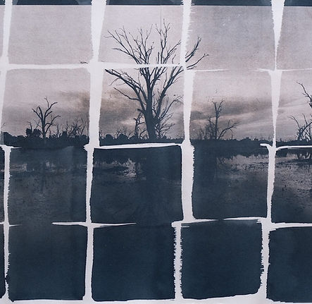 Lake Toolondo Toned Cyanotype_Aldona Kmiec 2026.jpg