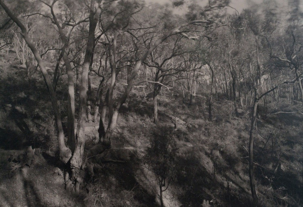 Harry Nankin - AOR #33
