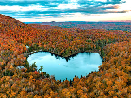🍂 Fall Into Better Health: Chiropractic Tips for a Healthy Autumn
