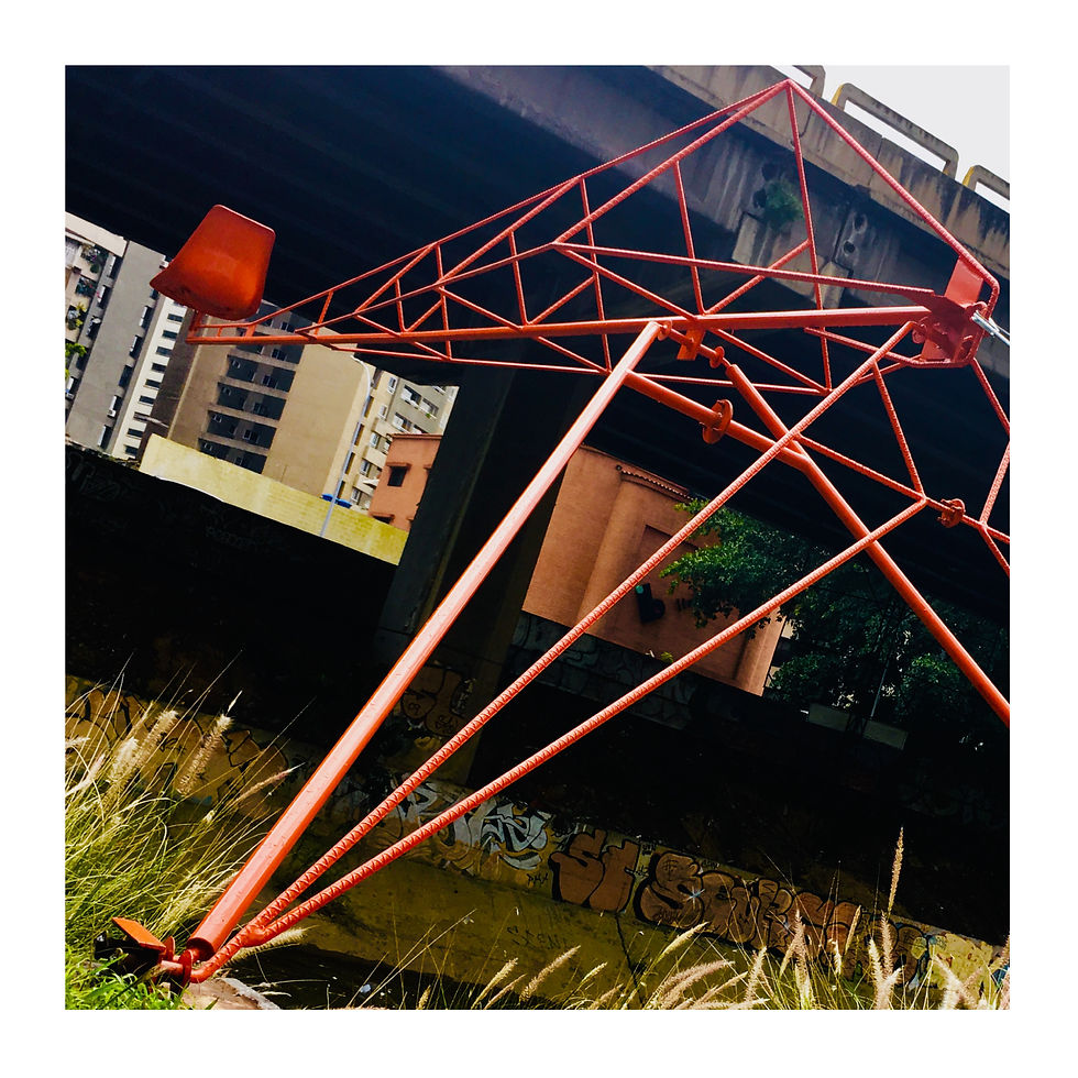 Intervención Urbana VIP