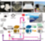 From Science Advances, 9 Apr 2025, Vol 11, Issue 15 (DOI: 10.1126/sciadv.ads2426)