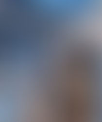 The Maturation of Composite (Fiberglass) Structural Shapes in Construction