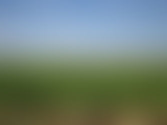 Are Plants the Future of Composites?