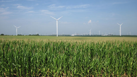 Are Plants the Future of Composites?