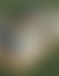 This Week’s News about Recycling and End-of-Life Composites