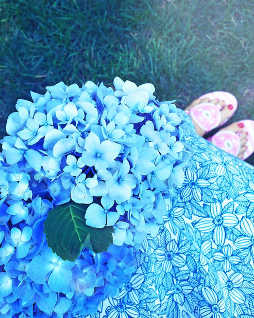 summer breeze makes me feel fine