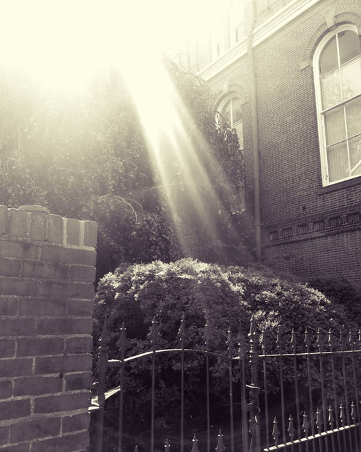 Let the sunshine in.....a place in the sun