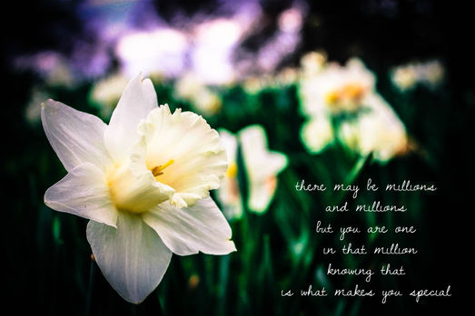 fields of likeness not of sameness.....