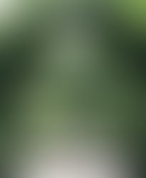 I go to the garden to think...