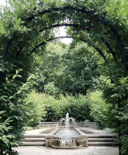 I go to the garden to think...