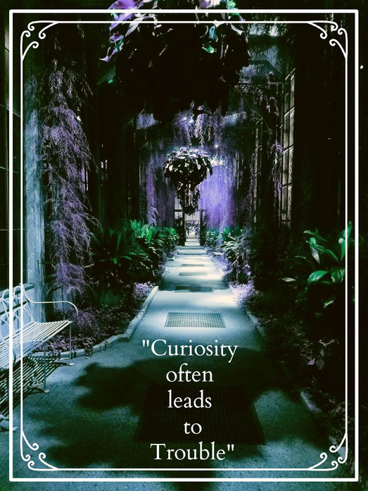 gotta know what's around that corner!......