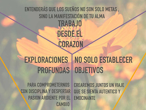CONSULTORIAS.jpg