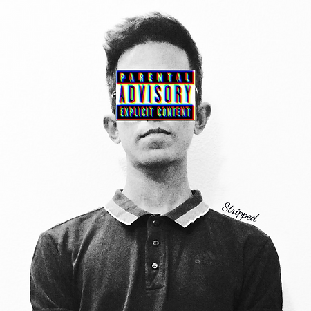 Fly Away (Stripped).png