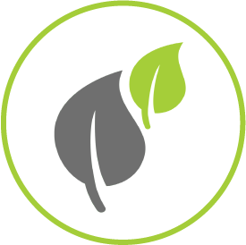 LOGUITOS-LEAVES.png