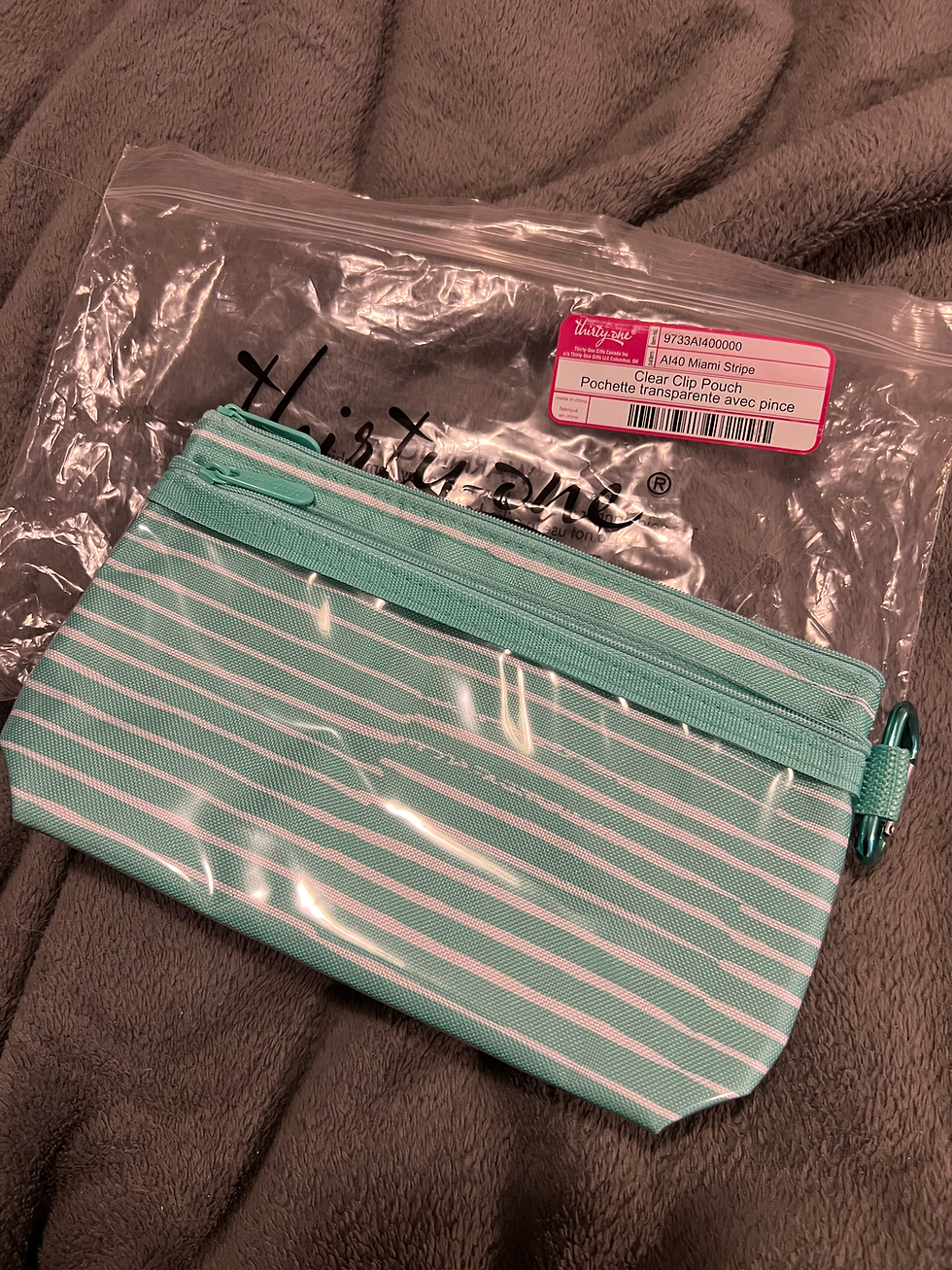 Thirty-One Clear Clip Pouch (NWT) • O/S